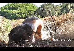 الكرة الحمراء سكس اجنبي مترجم عربي جديد