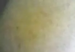 18-في-شبه جديد سكس عرب نار عالية